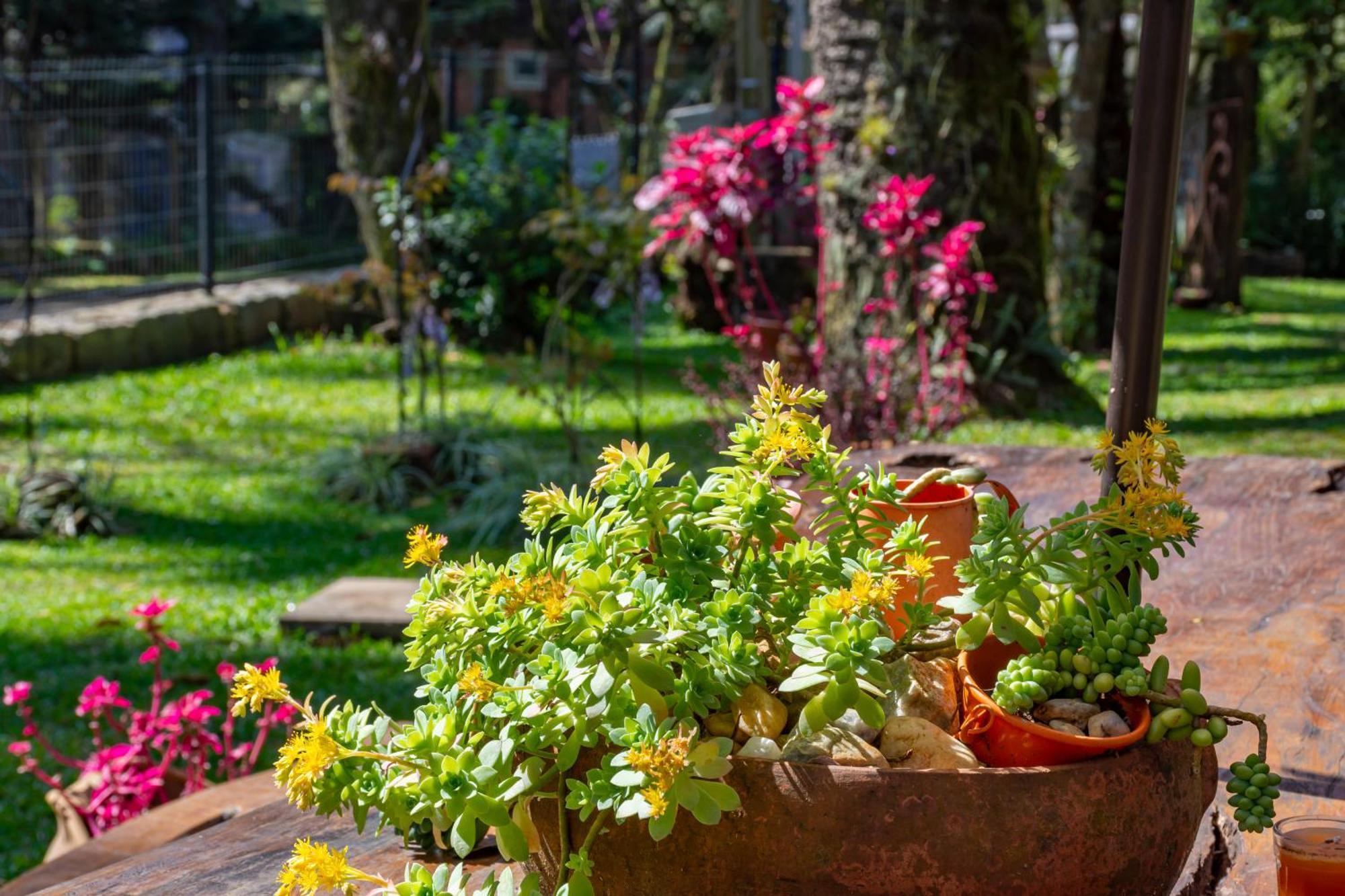 Pousada Vila 505 Canela Εξωτερικό φωτογραφία